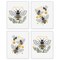 Big Dot of Happiness Little Bumblebee - Unframed Bee Decor Linen Paper Wall Art - Set of 4 - Artisms - 8 x 10 inches